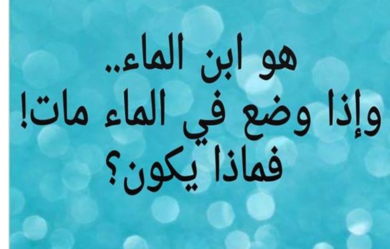 هو ابن الماء وإذا وضع فيه يموت..فماذا يكون؟